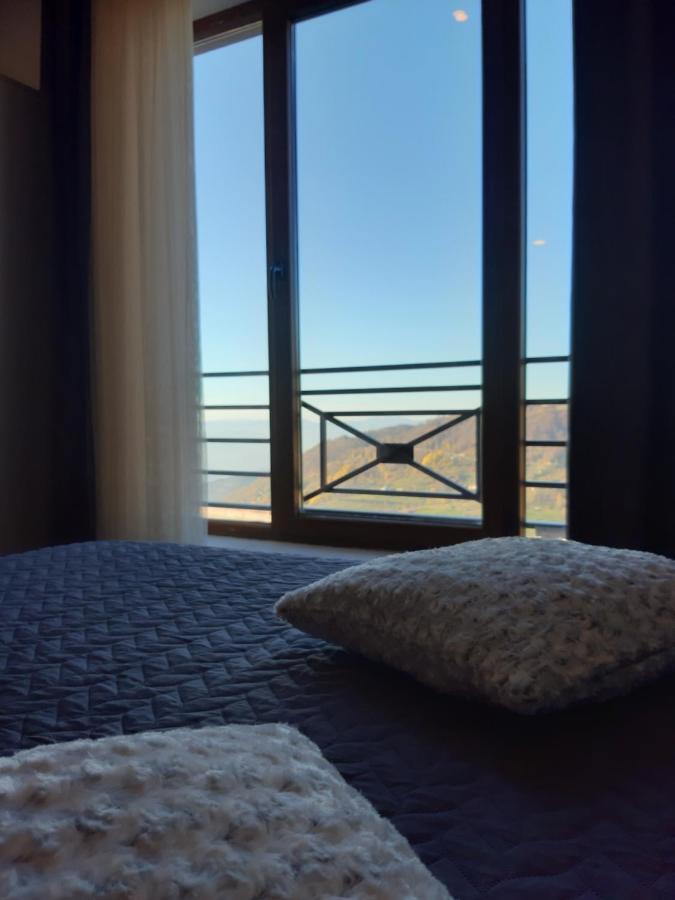 Dream Milmari L12 Apartman Kopaonik Buitenkant foto