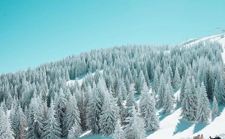 Dream Milmari L12 Apartman Kopaonik Buitenkant foto